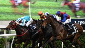 Aidan O’Brien’s Luxembourg could race on in 2024 after gallant Hong Kong effort