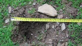 Eye on Nature: Your notes and queries for Ethna Viney