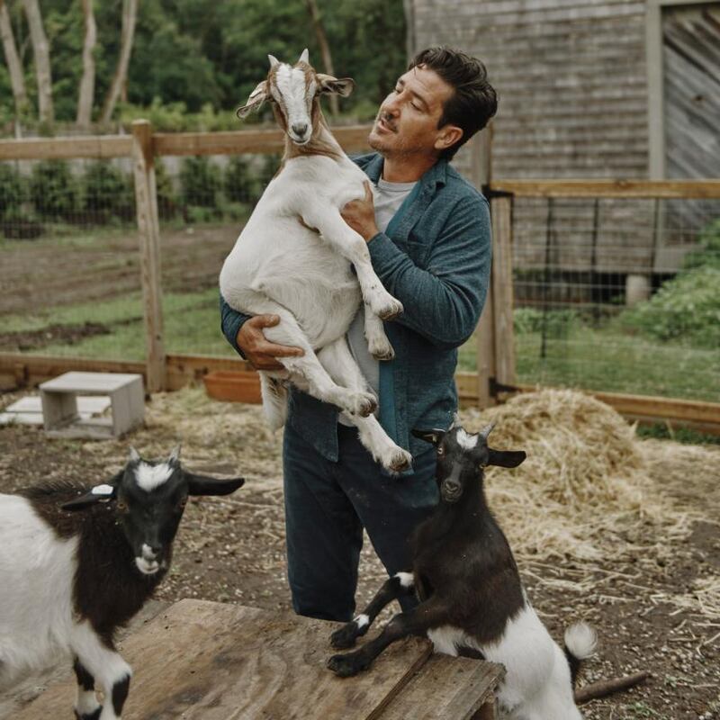 Knight  is learning to care for the goats he was given by a rent-a-goat company. Photograph: Tony Luong/New York Times