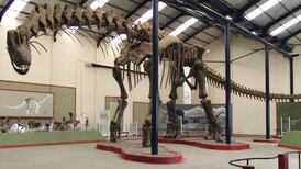 Dinosaur walks the walk 94 million years on