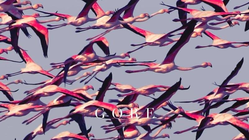 Deftones - Gore: unless you’re a hardcore fan, it’s uninspiring stuff