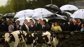 Beef exporters face significant blow if China refuses to lift ban