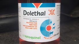 Lethal injection drug stolen in Co Wicklow burglary