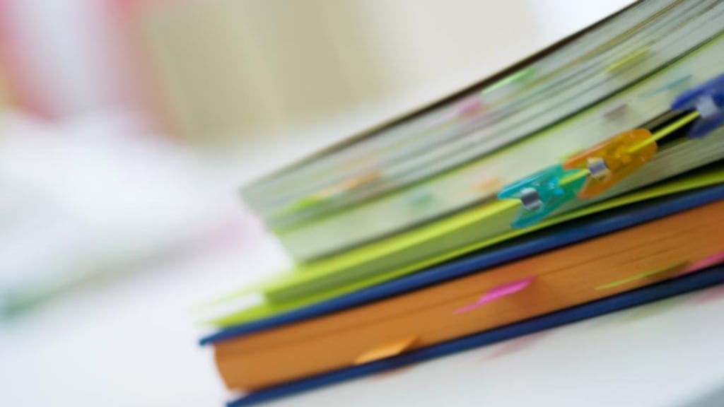 The total paid by the Exchequer to non-party members of the Dáil and Seanad in 2014 was €812,989 - €563,859 to TDs and €249,000 to non-party members of the Seanad. Photograph: Thinkstock