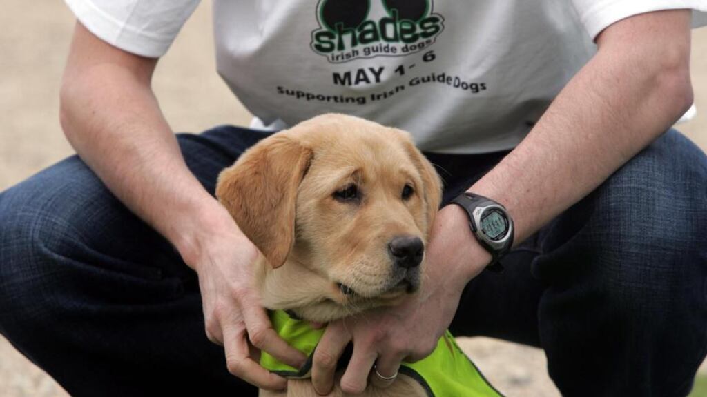 File photograph of Roy Keane with a Labrador at an Irish Guide Dogs campaign launch . Photograph: Eric Luke/The Irish Times