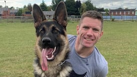 Boston rape trial complainant tells court she woke up with stranger on top of her