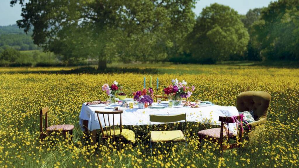 A party in a field full of buttercups where everyone brought a chair
