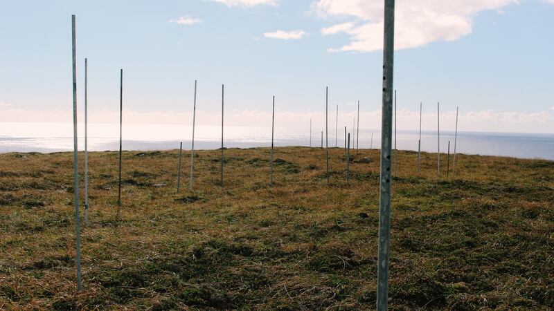 Land Flutes created collaboratively by the Tombolo 2016 artists. Photograph: Helen Spencer