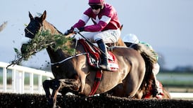 Mullins and Elliott run 14 at weekend but eyes are on Cheltenham