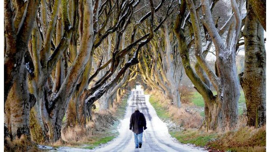 A man walks on the Bregagh Road at Stranocum, Co Antrim, yesterday as the big freeze continues. Photograph: Stephen Davison/PA Below: A truck spreading grit in Greystones, Co Wicklow, yesterday.