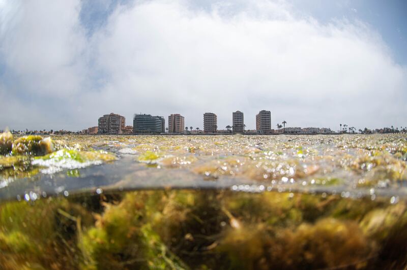 The Mar Menor is a protected area off south-east Spain. Photograph: Javier Murcia