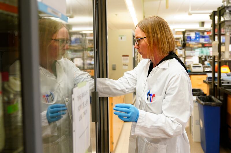 Principal scientist Denise Cecil retrieves supplies while working at UW Medicine’s Cancer Vaccine Institute. Photograph: AP