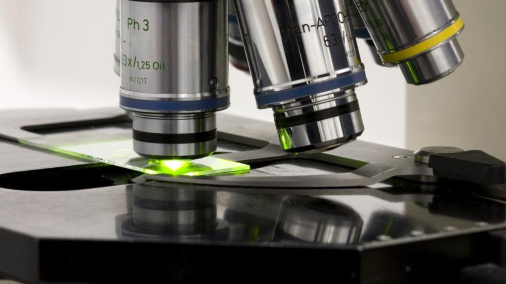 The trials involve injecting adult stem cells derived from adipose tissue or fat into cartilage to stimulate its regeneration