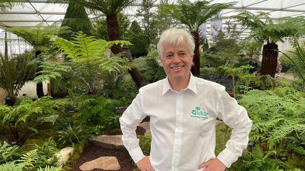 Billy Alexander, master gardener of Co Kerry’s Kells Bay Gardens, presented 60sqm display of ferns at the Chelsea Flower Show
