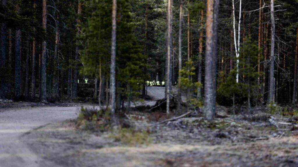 Personnel taking part in a search and rescue operation in woods near the Jamijarvi Airfield, southwest Finland, where a small passenger plane carrying parachuters crashed yesterday. Photograph: Mika Kanerva/Lehtikuva/Reuters