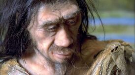 Our liking for processed foods began two million years ago