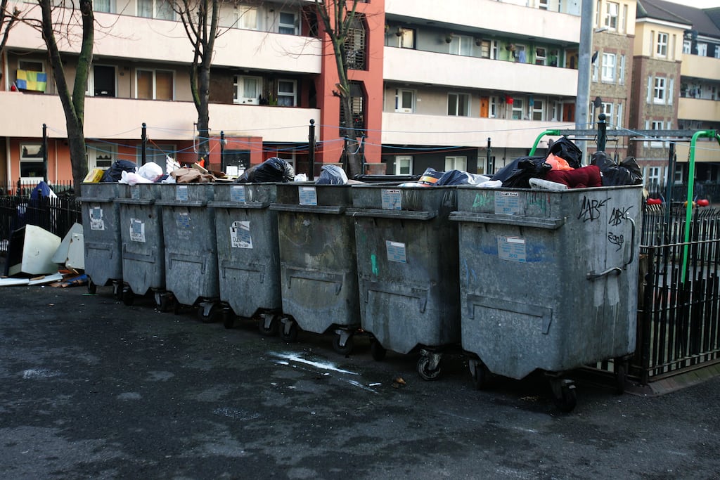 Barrister Peter Maguire, who appeared with Thomas Loomes Solicitors, said that his client told him that the Oliver Bond House complex in Dublin 8 where she lives was also rat infested. Photo: David Sleator/The Irish Times
