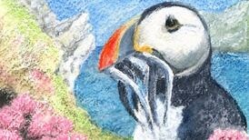 Between cliff and sea: The curious trail of a puffin