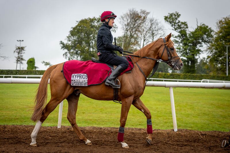 Dean Gallagher on Kyprios at Aidan O'Brien's yard ahead of last year's Irish Champions Festival. Photograph: Morgan Treacy/Inpho