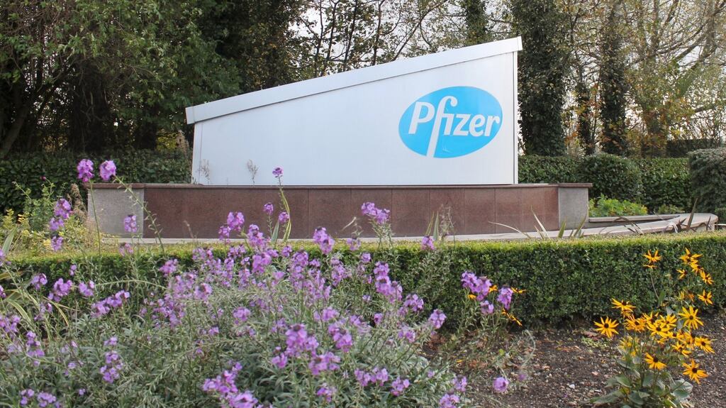 Pfizer’s plant at Newbridge, Co Kildare Photograph: Reuters