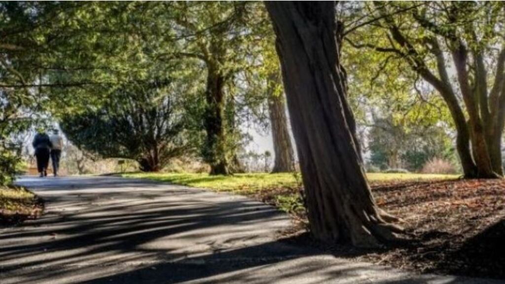 Met Éireann is forecasting a mixed weekend of sunny spells and showers. File photograph: Brenda Fitzsimons/The Irish Times