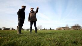 James Du Berlais takes role of ‘dark horse’ in intriguing Champion Hurdle storyline