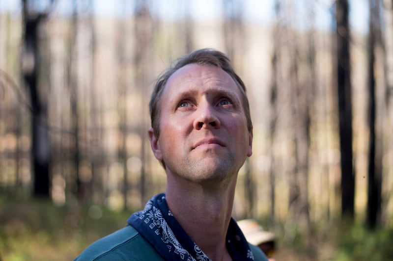 Chad Hanson of the John Muir Project at Yosemite National Park. Hanson is opposed to the move to cut down trees and is taking legal action. He is well known among conservations and loggers for his lawsuits. Photograph: Noah Berger/The New York Times