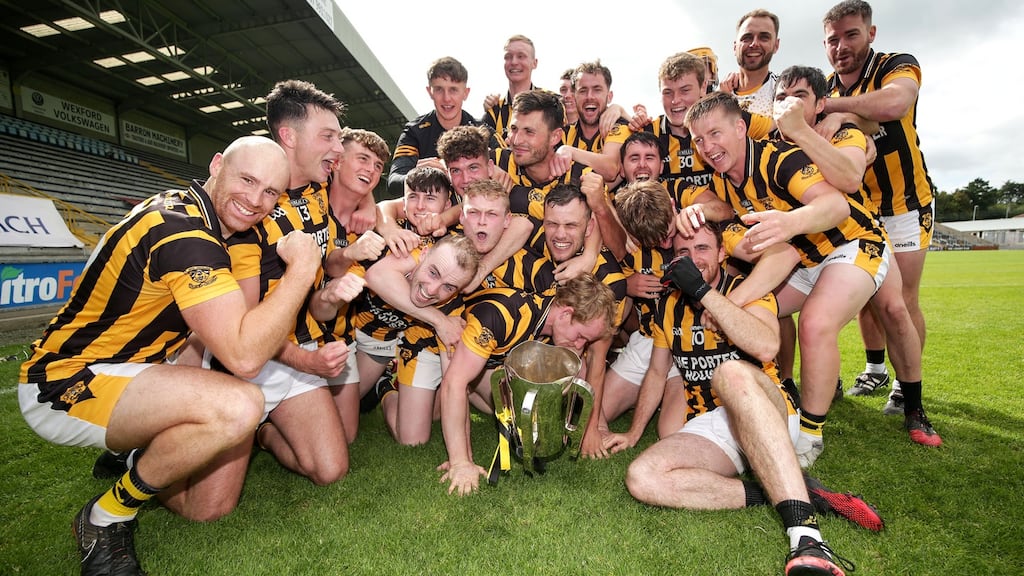Shelmaliers celebrate their victory in the Wexford SHC final. Photograph: Laszlo Geczo/Inpho