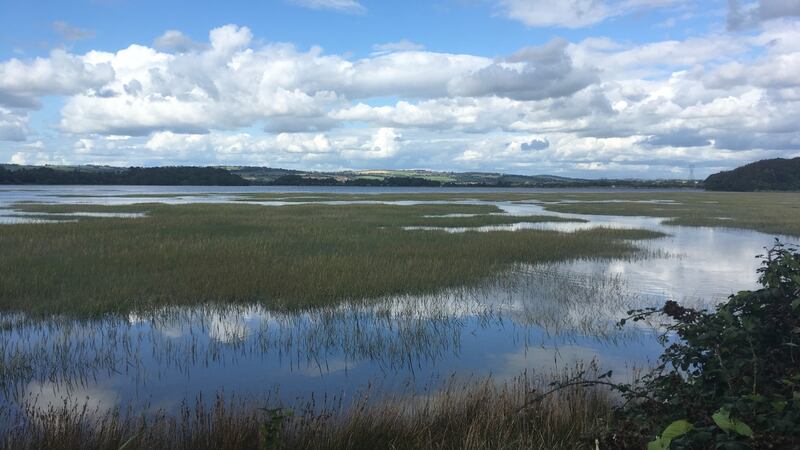 Great Island, Co Cork