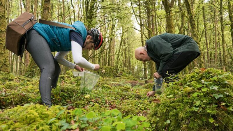 Conor Pope goes foraging with head pastry chef Paula Stakelun. Photograph: Keith Heneghan/Phocus