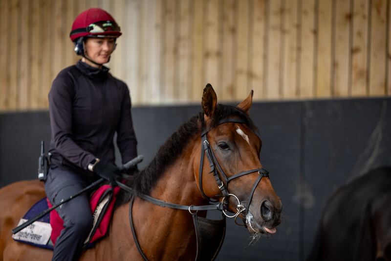 Rachel Richardson with City of Troy, in Aidan O'Brien's yard. Photograph: Morgan Treacy/Inpho