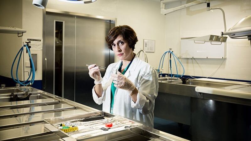 Clara Segura in Night and Day