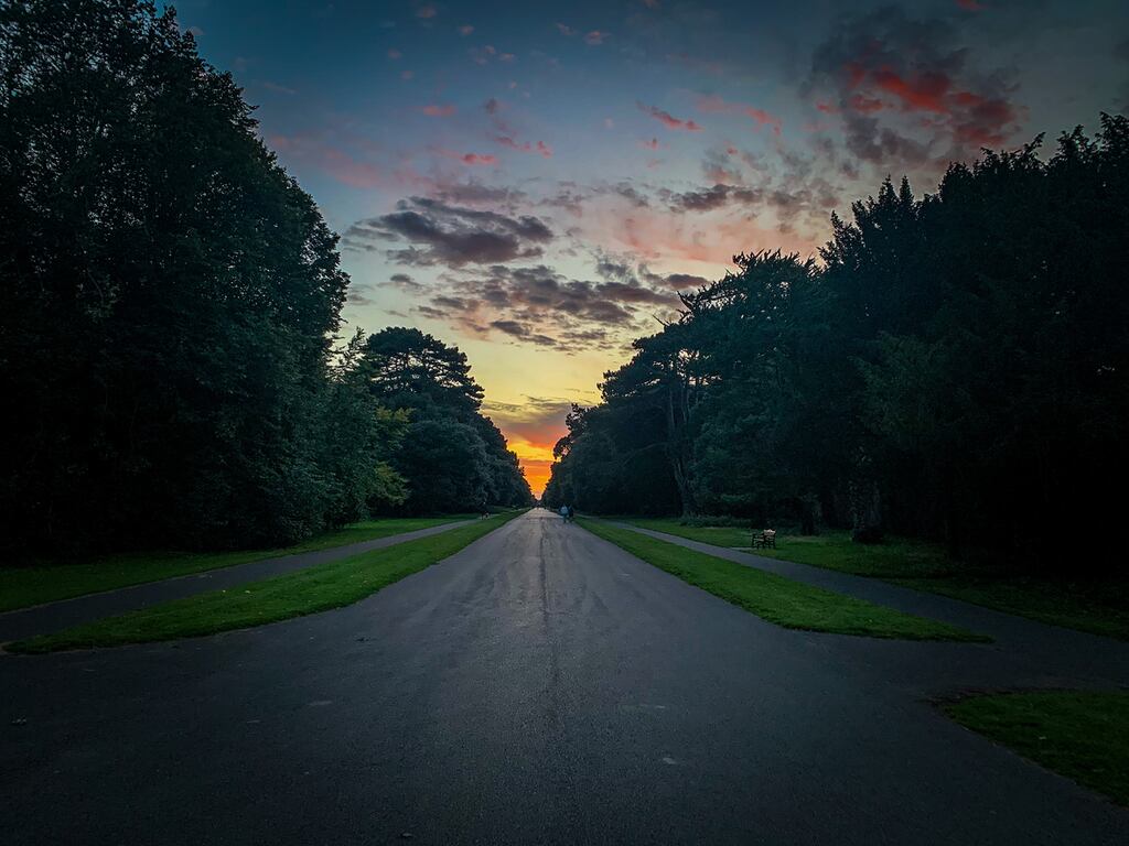 St Anne's Park in Raheny, next to which Tetrarch's proposed development would be built. Photograph: iStock