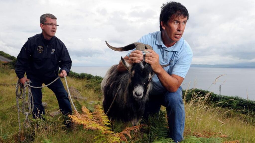 Pat Cahill and John McGrath at Dingle Bay in Co Kerry with the captured wild mountain goat that will be crowned King Puck. Photograph: Don Macmonagle