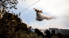 Italy fights wildfires from Tuscany to Trieste