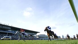White Birch springs 22-1 upset in Leopardstown’s Derby Trial
