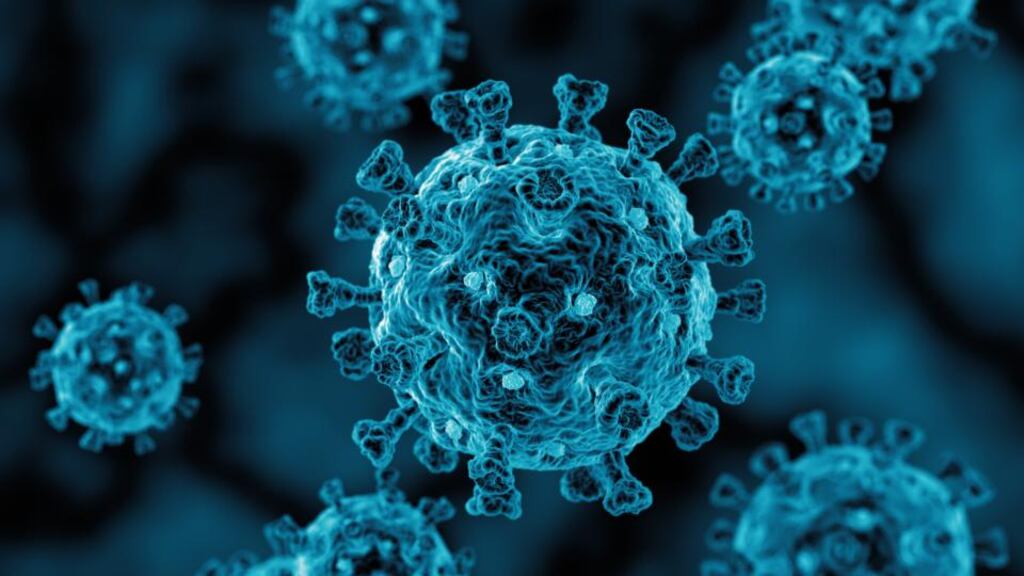 The North recorded a further 15 deaths and 391 cases of Covid-19 on Tuesday