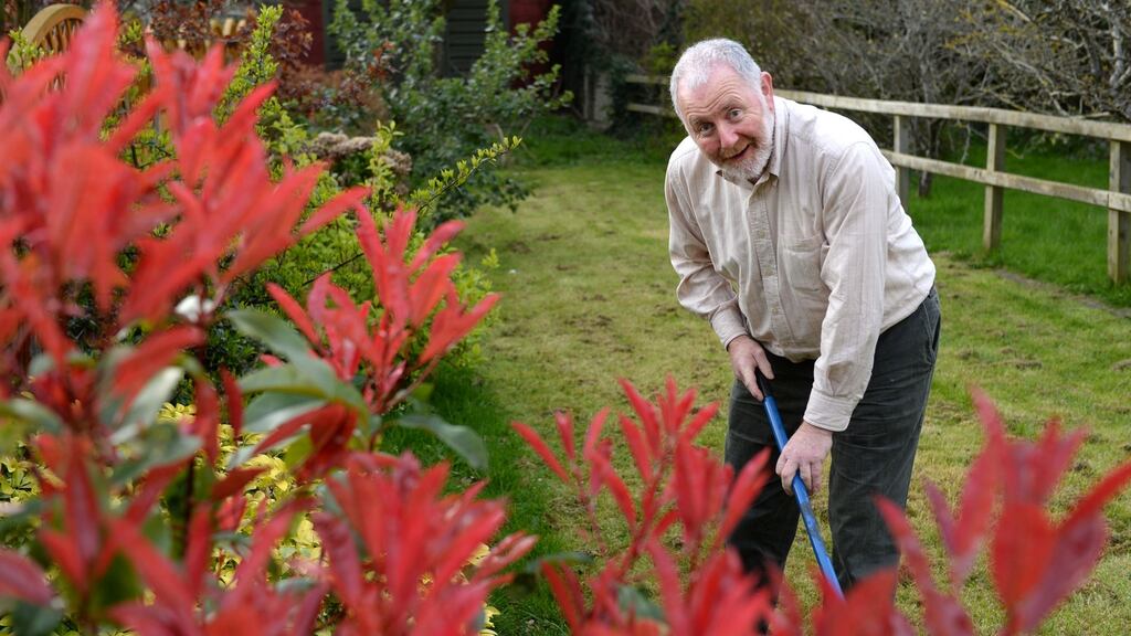 Declan Moriarty, who has Parkinson’s, working in the garden at home in Finglas, Dublin. Photograph: Dara Mac Dónaill