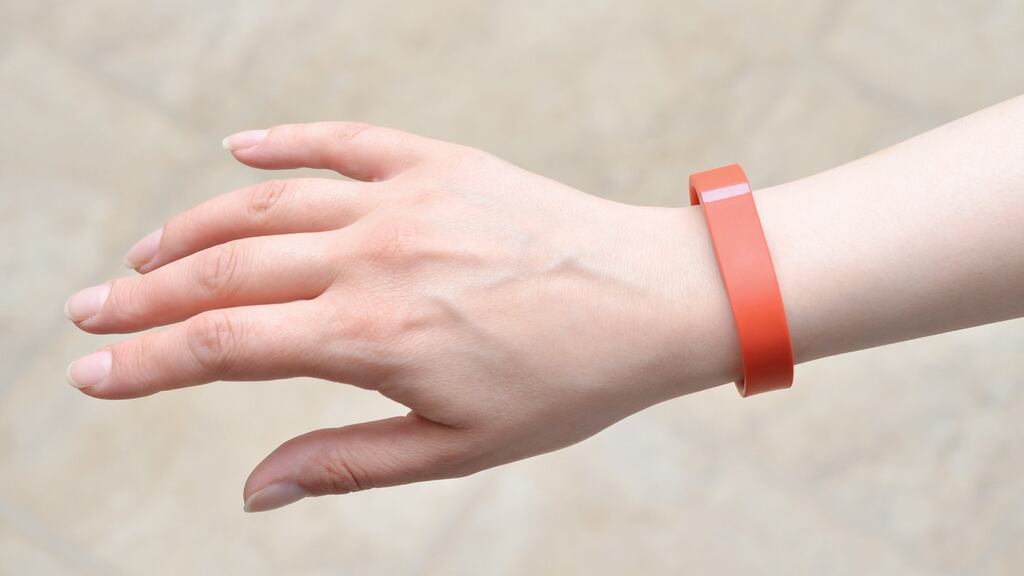 ‘It is a reliable and steady companion. It encourages and reinforces positive behaviour and it only needs to be recharged every few days. It tells her how fabulous she is with great regularity and gusto.’