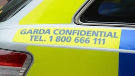 Gardaí appeal for witnesses after pedestrian hit by car in Louth