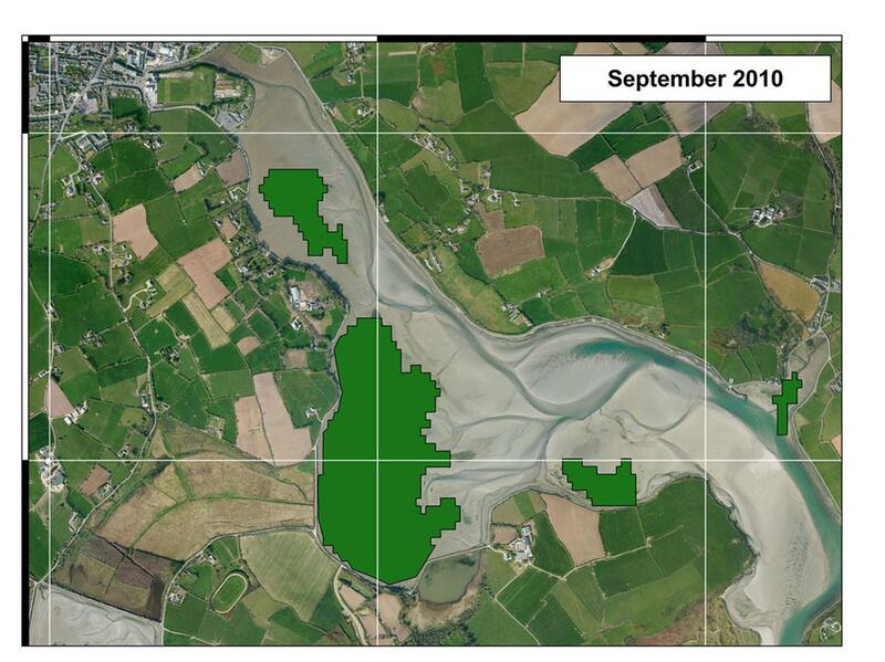 Clonakilty estuary in Cork which, in June 2014, began to show the emergence of gracilaria vermiculophylla.