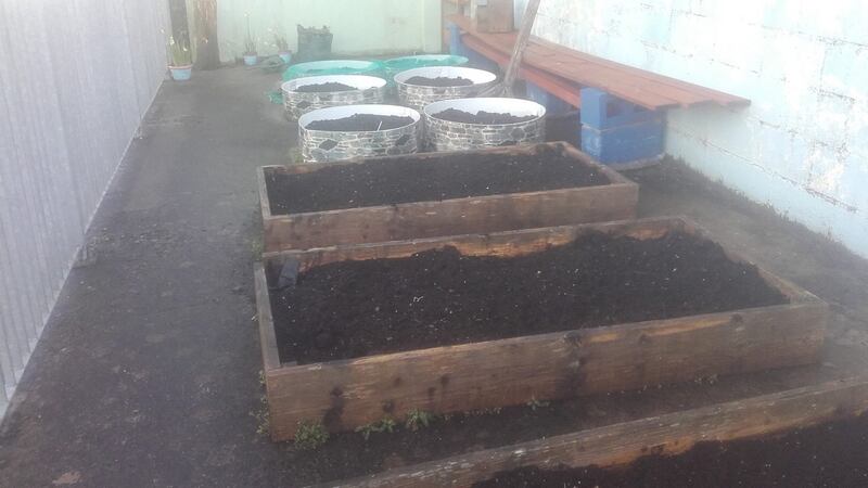 St Patrick’s School vertical garden before planting.