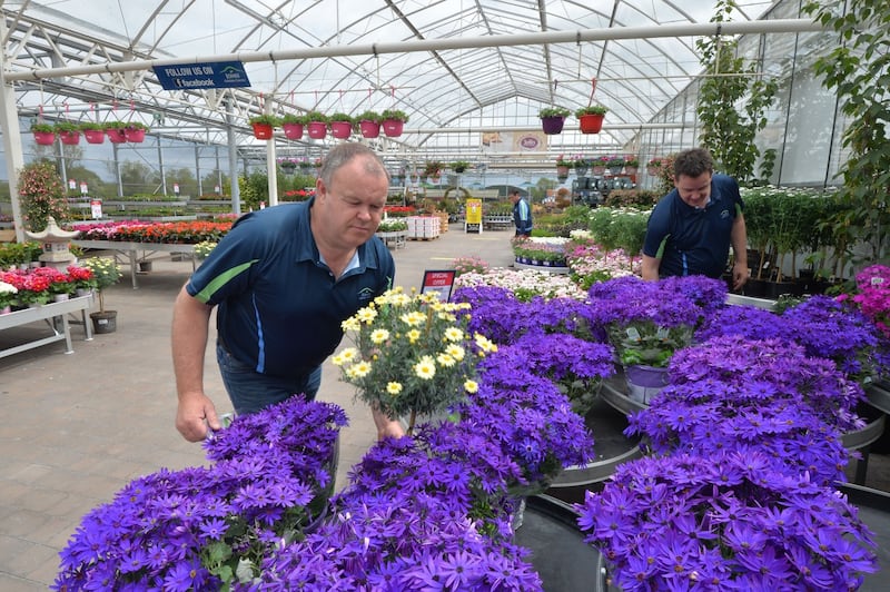 Carl Jones (left): ‘The suppliers panicked and started selling to supermarkets. It was tough for us to get plants because they’d all gone to supermarkets and garages.’ Photograph: Alan Betson/The Irish Times