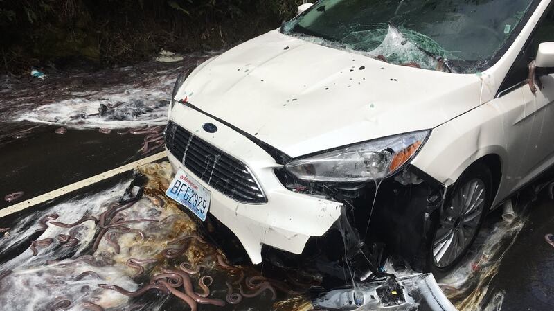 Nobody was injured in the incident. Photograph: Oregon Fire Department/Twitter