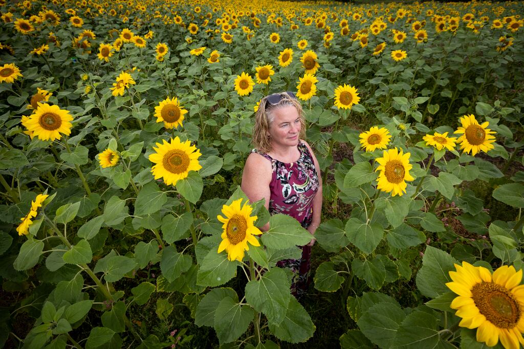 Geraldine Mullan in a field of sunflowers she planted near the scene where her daughter Amelia (6), son Tomas (14) and husband John drowned after the family car plunged into Lough Foyle in Co Donegal. Photograph: Joe Dunne