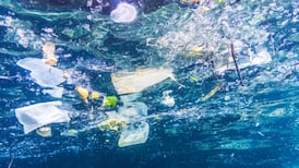 Microbeads ban urgently needed, say Labour and Green Party