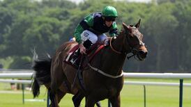 Dubai could help Ireland in China