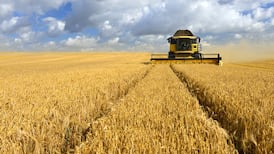 Minister to ask Irish farmers to grow grain due to wartime supply issues