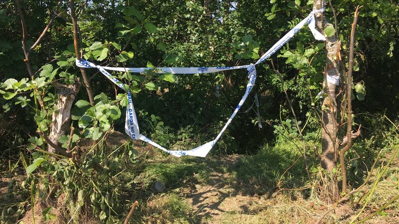 Garda tape at the top of a field near Dunleer, Co Louth, where the body of Cameron Reilly was found. Photograph: Peter Murtagh
