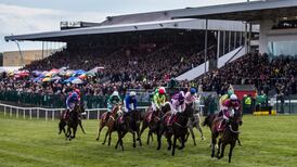 Punchestown and Galway aim to race away during vaccination campaign